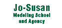 JoSusan Website Masthead